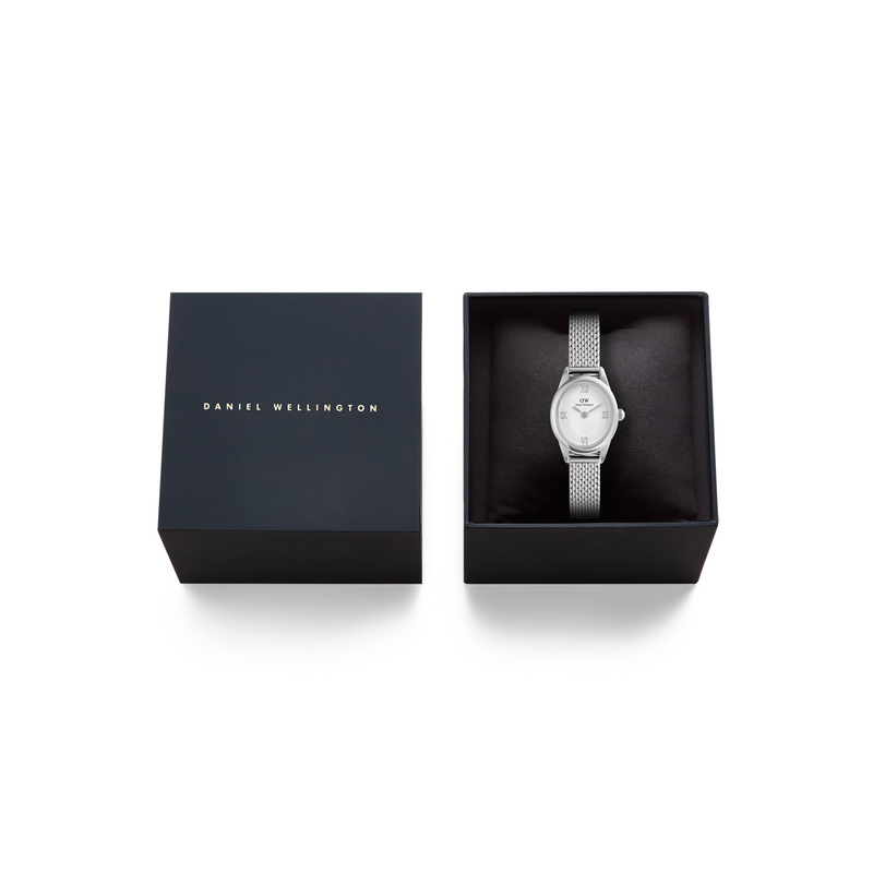 Daniel Wellington Ophelia Mini Mesh White Silver Damenuhr DW00100938-zoom-