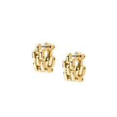 Fossil Arden Gold Coloured Stainless Steel Earrings JF04902710