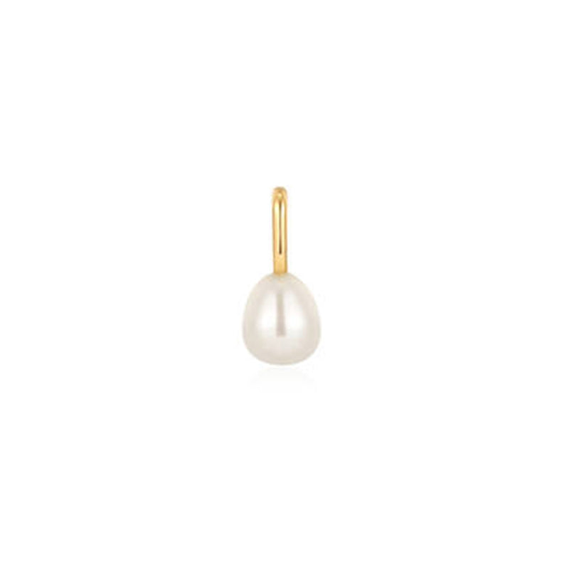 Ania Haie Pop Charms Gold Coloured Charm AH-NC048-27G-zoom-