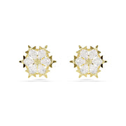 Swarovski Magic Ohrringe in Goldoptik 5757816