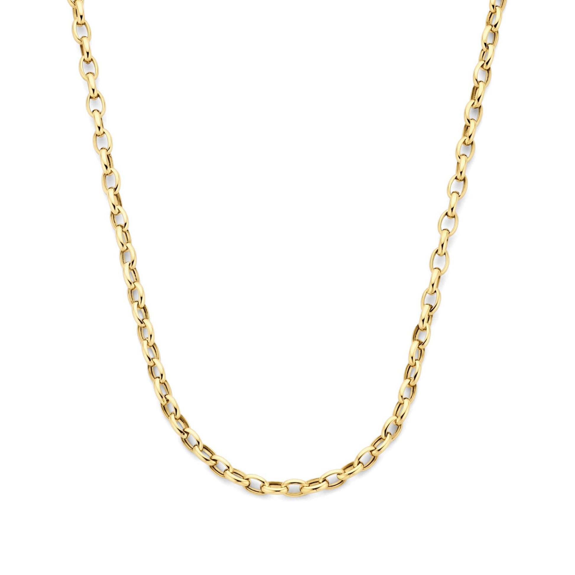 Isabel Bernard Aidee Camille 14 Carat Golden Schakel Necklace IB340159