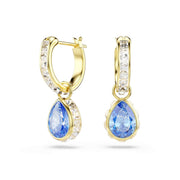Swarovski Chroma Ohrringe in Goldoptik mit blauen Kristallen 5757815