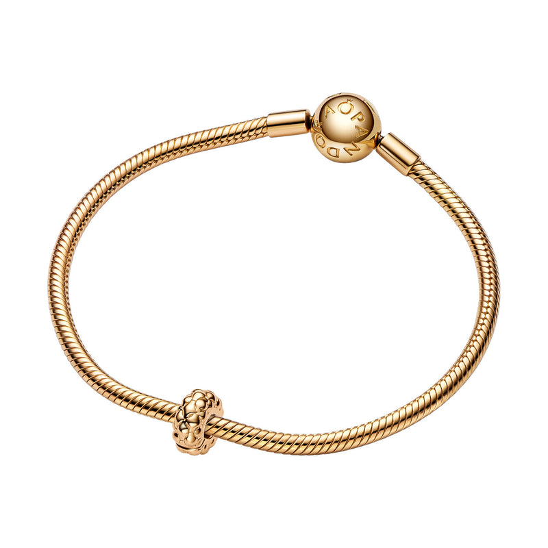 Pandora Moments damen Charm 585 Vergoldung 762716C00-zoom-