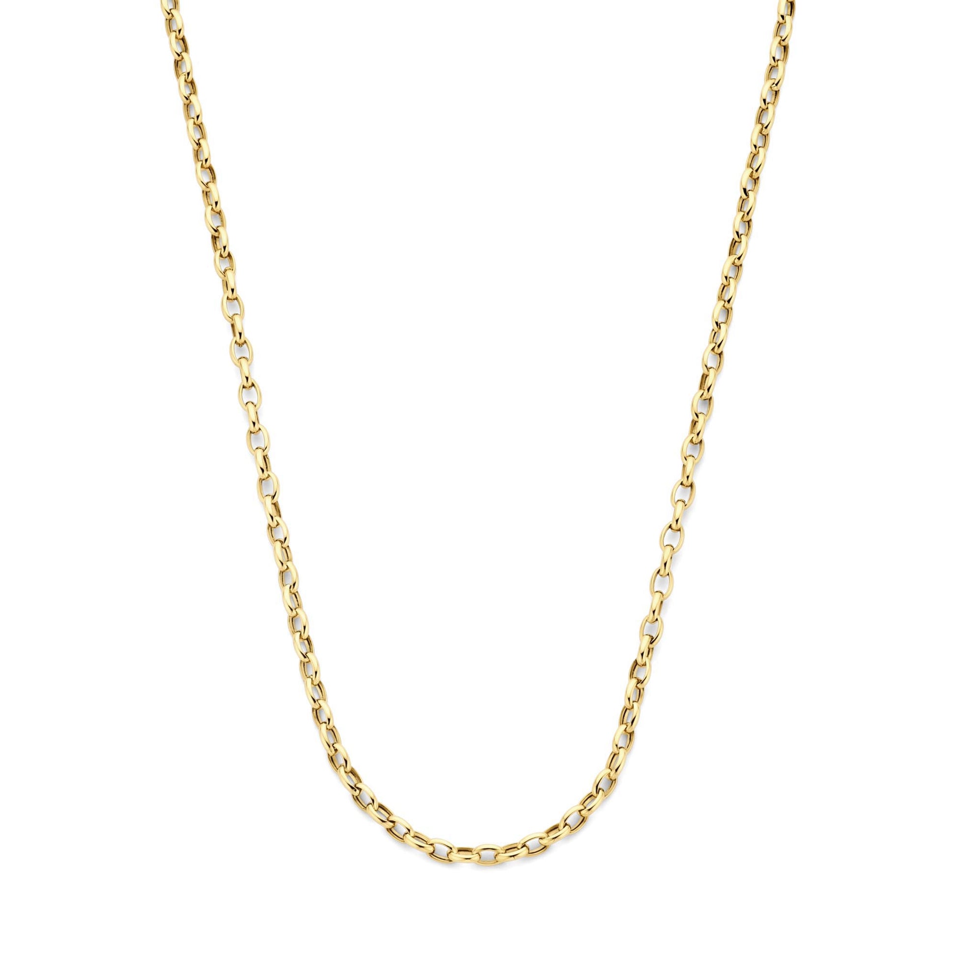 Isabel Bernard Aidee Camille 14 Carat Golden Schakel Necklace IB340159