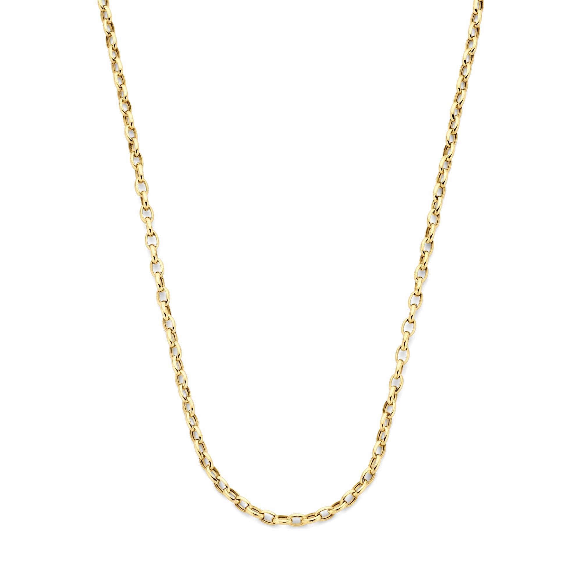 Isabel Bernard Aidee Camille 14 Carat Golden Schakel Necklace IB340159