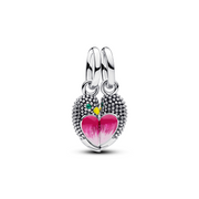 Pandora Moments Love Birds Teilbarer Hängender Charm 794484C01