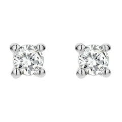 Blush Diamonds 14 karat white gold Ear Stud 7601WDI