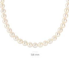 Blush 14 karat gold Necklace 3184YPW