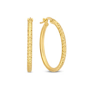 Isabel Bernard Rivoli Laura 14 Karat | Gold Reif-Ohrringe IB360161