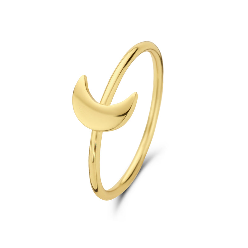 Selected Jewels Julie Louna 925 Sterling Zilveren Goudkleurige Ring SJ300017-58-zoom-