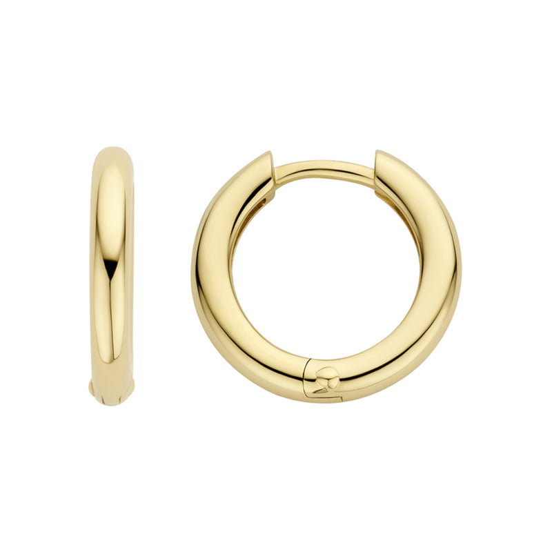 Blush 14 Karaat Gouden Oorbellen 7317YGO-zoom-