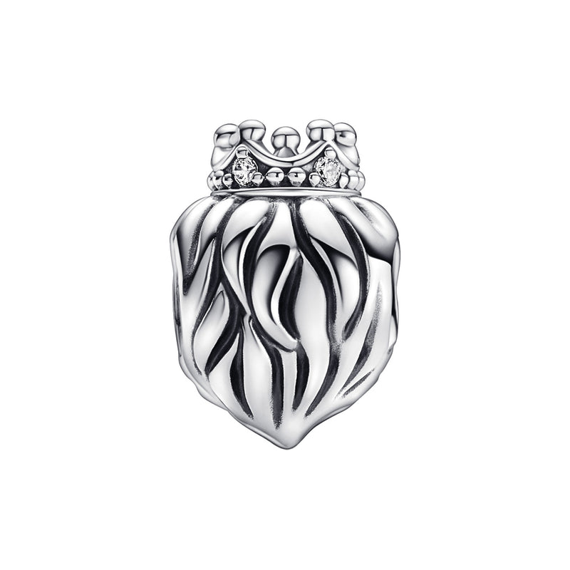 Pandora Moments damen Charm Silber 792199C01-zoom-