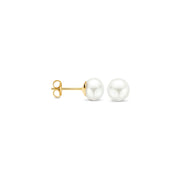 Blush damen Ohrknöpfe Gold 7136YPW