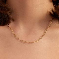 Parte Di Me Bibbiena Poppi Felice 925 Sterling Silver Gold Plated Schakel Necklace PDM34092