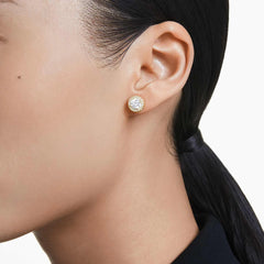 Swarovski Gold Ear Stud 5686637