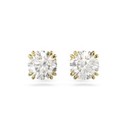 Swarovski Constella Goldfarbene Ohrknöpfe 5642595