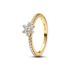 Pandora Timeless Sparkling Flower Ring 164499C01