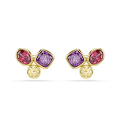 Swarovski Imber Organic Gold-Tone Multicolour Stud Earrings 5760019