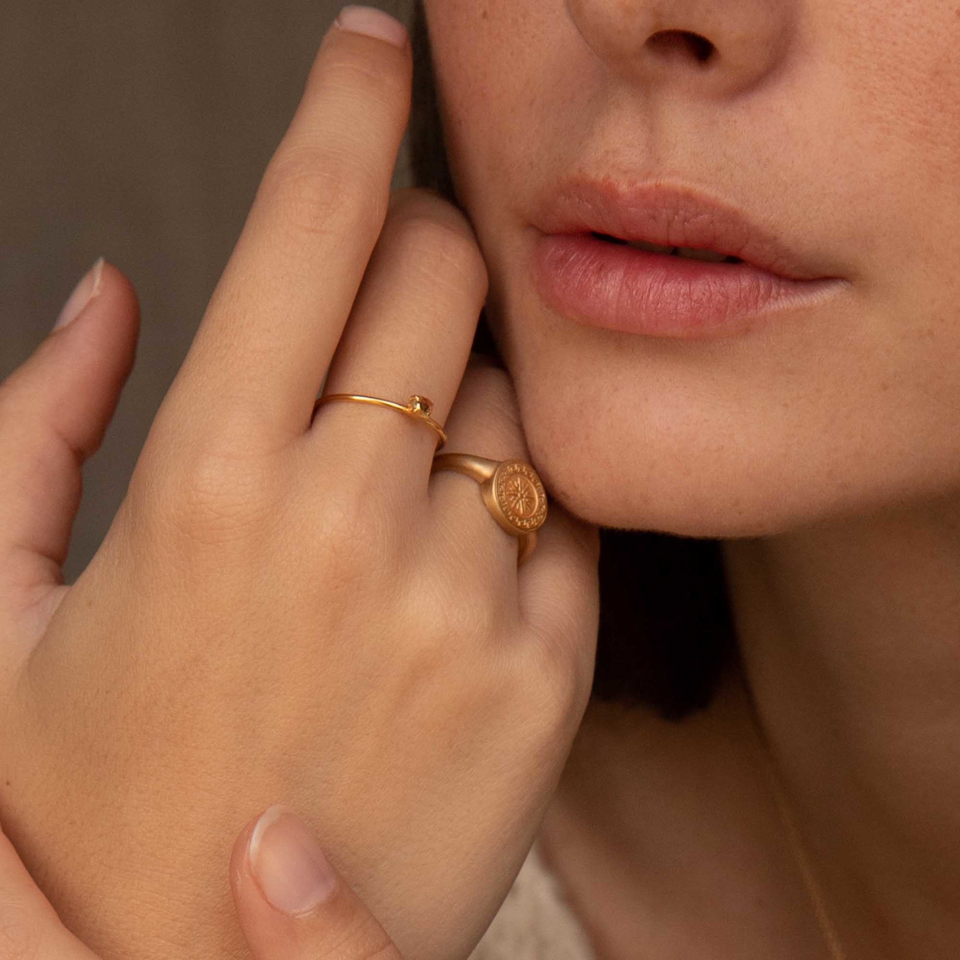 Violet Hamden Sisterhood Stone 925 Sterling Zilveren Goudkleurige Ring VH13027G-50 (Maat: 50)