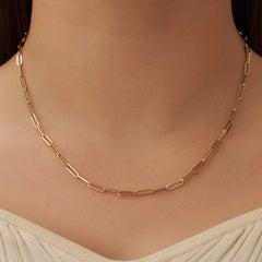Isabel Bernard Aidee Odile 14 Carat Golden Schakel Necklace IB340160