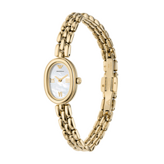 Emporio Armani Women's Watch AR11721