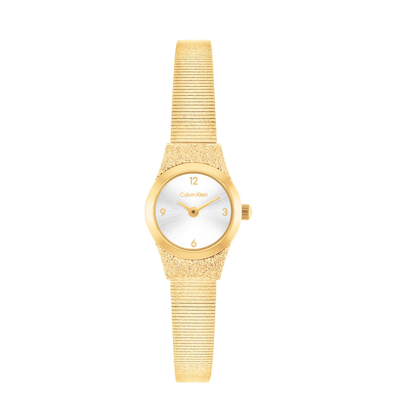 Calvin Klein CONTEMPORARY Zilverkleurig Dames Horloge 2002-CK25100193-zoom-