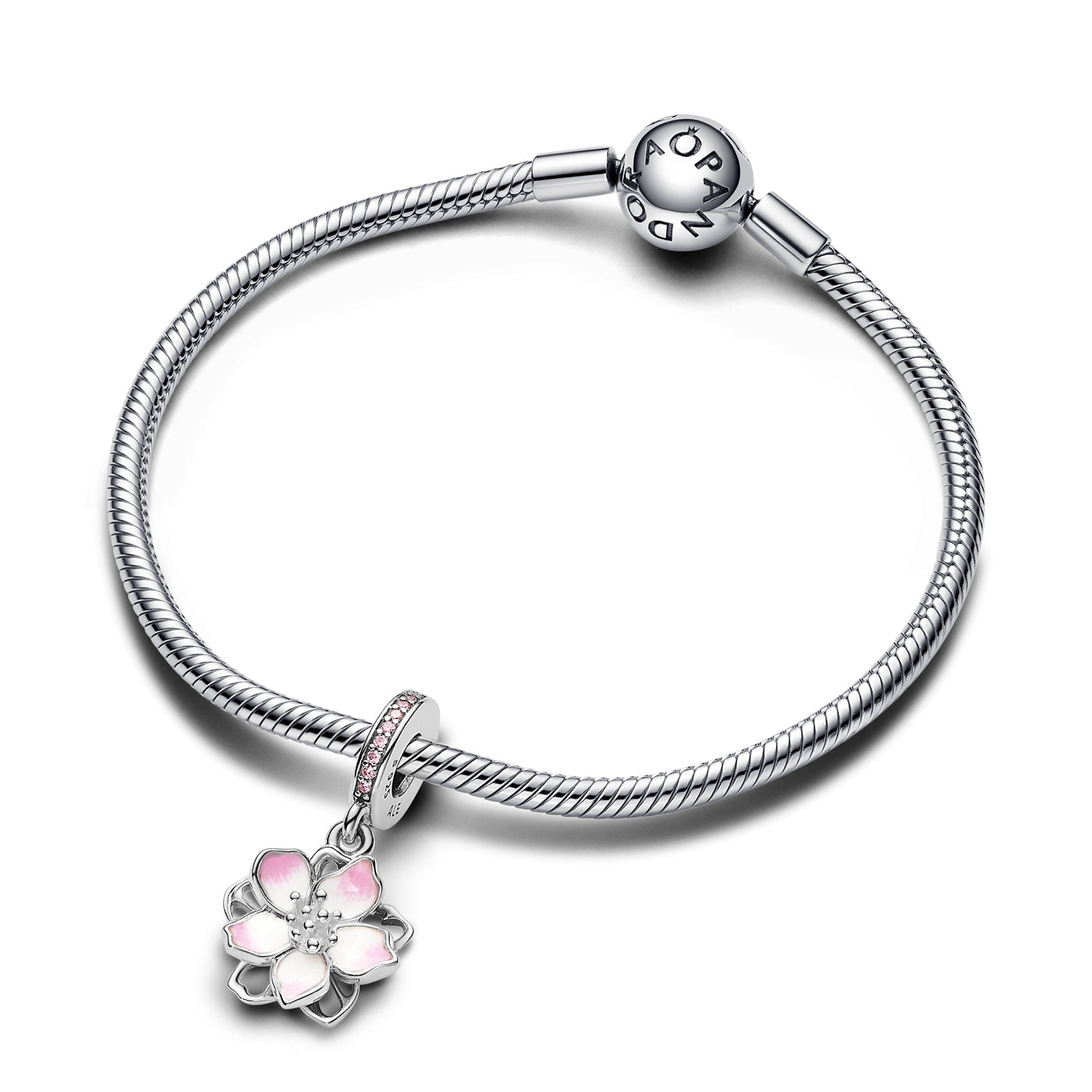 Pandora Moments 925 Sterling Silver Charm 790667C01