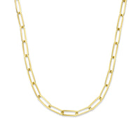 Parte Di Me Bibbiena Poppi Felice 925 Sterling Silver Gold Plated Schakel Necklace PDM34092