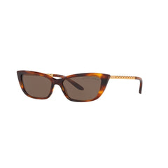 Ralph Lauren Brown Sunglasses RL817355500773