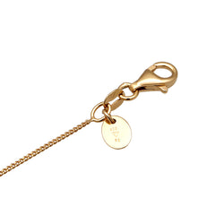 Elli 925 Sterling Silver Necklace with Diamond (0.004 ct) 2004-BF-0008123-001