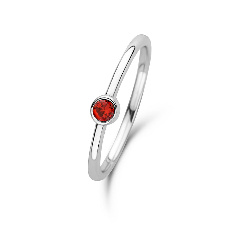 Violet Hamden Venus Zilveren Ring Met Geboortesteen VH330007JAN-60-zoom-