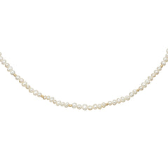 Jackie Gold 14 karat gold Necklace JKN24.408