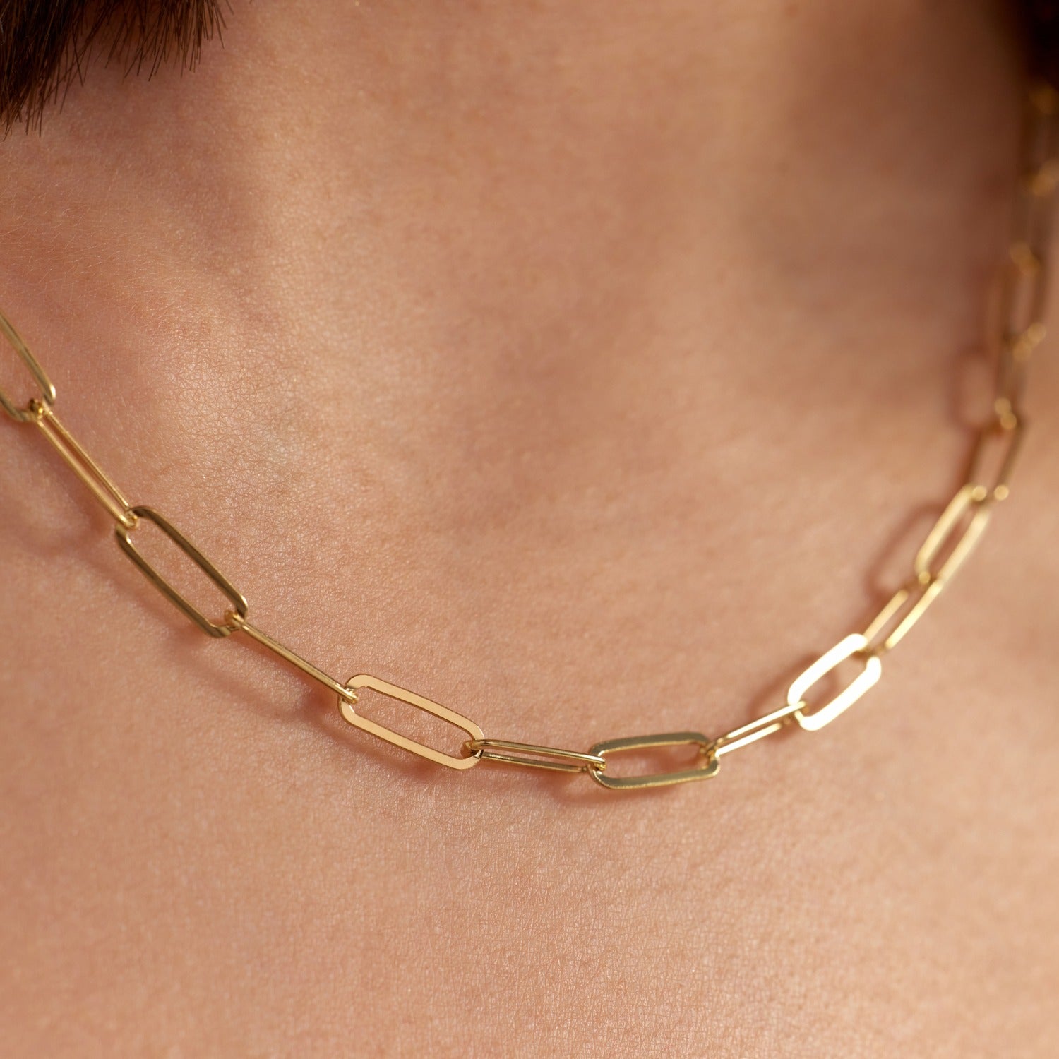 Parte Di Me Bibbiena Poppi Felice 925 Sterling Silver Gold Plated Schakel Necklace PDM34092