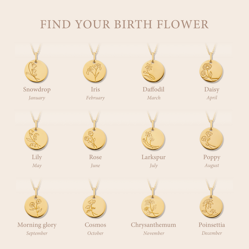 Violet Hamden Venus 925 Sterling Silberne Vergoldete Halskette mit Geburtsblume VH340025-JAN-zoom-