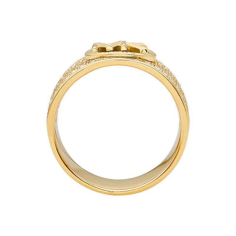Michael Kors Premium Goldfarbene Ring MKJ8063710-5-zoom-