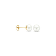 Blush damen Ohrknöpfe Gold 7137YPW